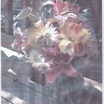 summer bouquet 3, A4, 240x144, color, non-cropped